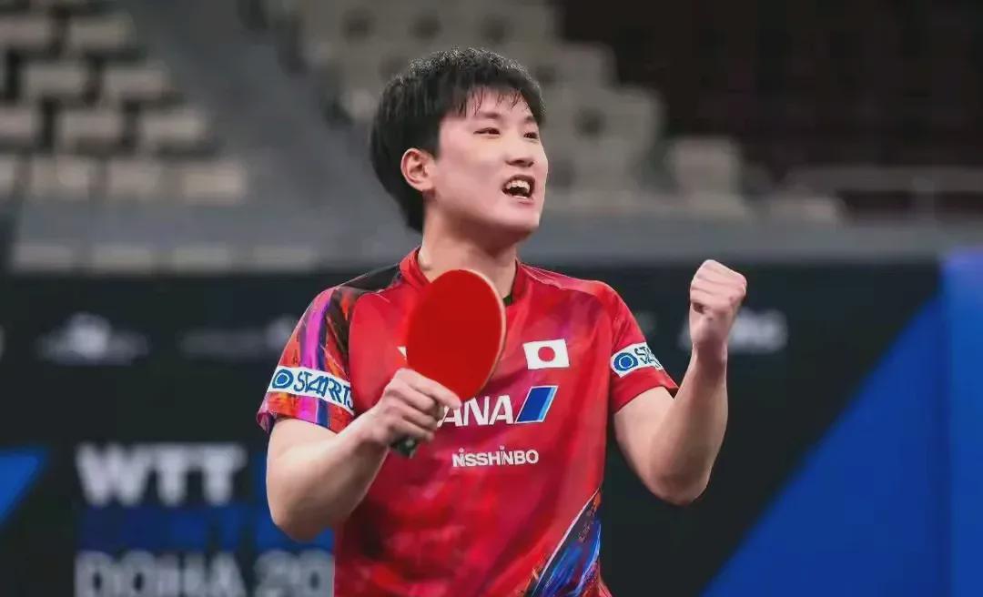 哈兰德重返赛场，比赛局势复杂首场状态出色，TL观众沸腾！的简单介绍